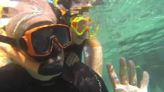 chad and lisa manatees full res