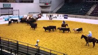 Flashy Lites Southern Futurity 102715