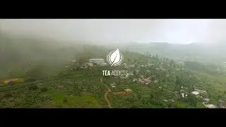 TEA ADDICTS - Unterwegs in Sri Lanka (Ceylon) Nuwara Eliya, Teeplantagen Doku