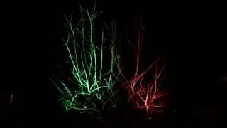 Trying out some LED spectra flood lights