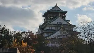 [Nov 22] Umeda Shopping District, Osaka Castle Pier, Aqualiner, PEACE Museum, Dotonbori, & Takoyaki