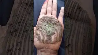lives 😭S letter mehndi #youtubeshorts #hariyanvisong #mehndi #letter #trndeg #vairal #shortvideo