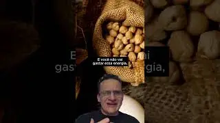 PROTE&Iacute;NAS OU CARBOIDRATOS: QUAL O MELHOR ALIADO DO HOMEM 40+? | Dr. Alex Mota Benevides