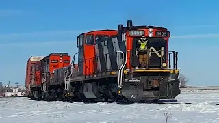[4K] C40-8M Leader, Long Hood Forward 1950's Power, 12 Hour Late VIA Rail on Sunny Day (02/03/2017)