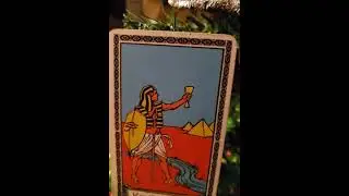 DAILY Psychic Tarot Reading for Wednesday December 16 2020