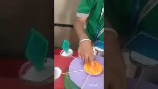 Division working model