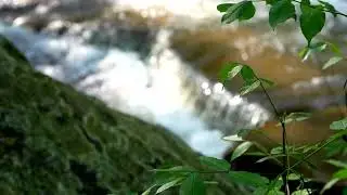 Muddy Creek Falls, Albright, WV