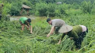 The flood rose and swept away: Destroying KONG & NHAT's rice fields and crops