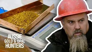 The Hoffman Crew Needs Almost 300oz Of Gold To Reach Their Target | Hoffman Family Gold
