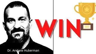 How To Win At Life -  Dr. Andrew Huberman