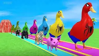 Long Slide Game With Cow ,Elephant ,Gorilla Hippopotamus, Tiger | Funny 3D Animals