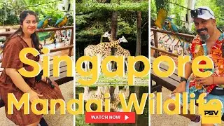 🌿 Exploring Mandai Wildlife Reserve, Singapore | Adventure in Nature! 🐘🦁 With PSV Journey Seekers