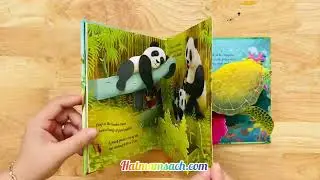 USBORNE POP-UP ANIMALS