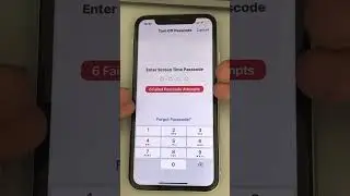 Forgot screen time passcode, how to reset in iPhone