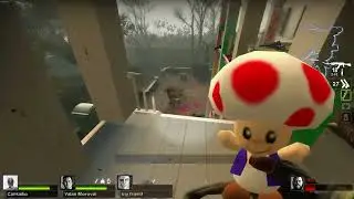 most fucked up l4d2 game i ever seen