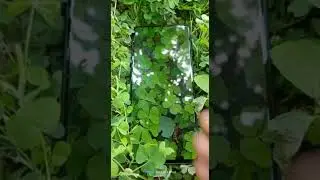 Samsung galaxy F62 Camera Review | Samsung galaxy z fold| S20 camera| S22 camera test