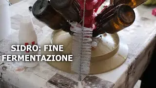 Sidro: fine fermentazine