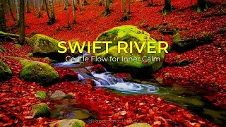 SWIFT RIVER - Gentle Flow for Inner Calm