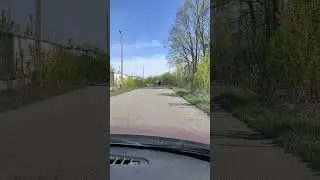 Bull falls off moving trailer in Kazan, Russia