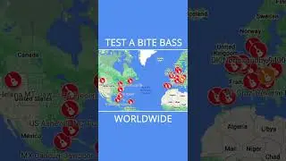 Visit a BITE owner and test out their BITE bass! #custombass #bitebass #bass #bassguitar