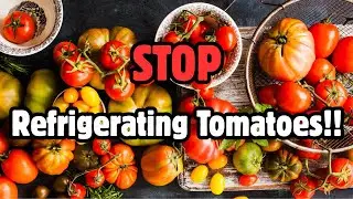 Why Cold Tomatoes Taste TERRIBLE &mdash; The Science You Need to Know