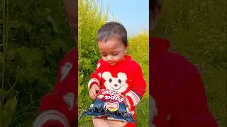 Teri sari Vishva pura dunga #shortvideo#youtubeshorts#viral video#please#support#me#