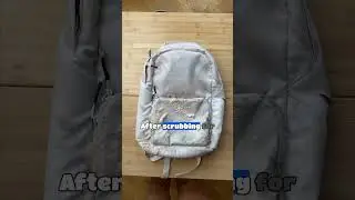 Will GRIP CLEAN Clean OUR Backpack? #shorts