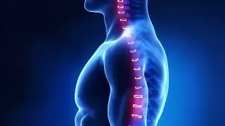 Neural Organization Technique. Dr. Garrik Danilov - Chiropractor.