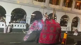 සිව්වෙනි මහා රන්දෝලි පෙරහර මහනුවර 2025 / procession srilanka  kandy 