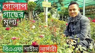 Rose Plants Price In BAF Shaheen Nursery | গোলাপ গাছের মূল্য | Gardening Bangladesh