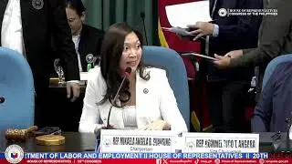 COMMITTEE ON APPROPRIATION  (DEPARTMENT OF LABOR AND EMPLOYMENT )