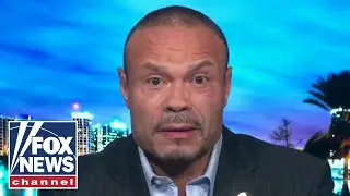 Dan Bongino joins 'Hannity' after powerful congressional testimony