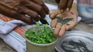 The Jute Corporation of India Limited | Jute I-CARE Advertisement in Hindi