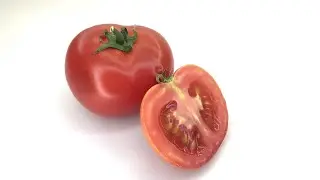 Rotten Tomato fruit time lapse