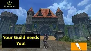Reasons to join an active Guild!