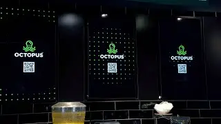 Octopus x BrewMood EN