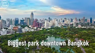 FREE and EASY to get to LUMPINI PARK in BANGKOK - Nice walk with stunning views!