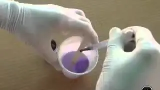 Encapsulado con Resina Poliester