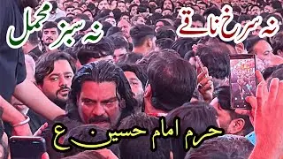 Na Surkh Naqy Na Sabz Mahmal || Zawar Ali Raza || Karbala || Muharram 2025
