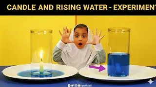 Water Magic Science Activities for Kids!  #IQSofficial0