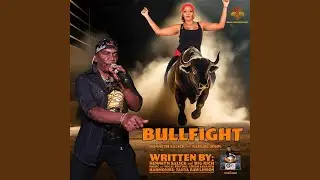 BULLFIGHT