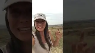 Dinosaur Killer in the Badlands !?