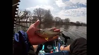 Early spring kayak fishing in Ontario.  Maiden voyage!  Panfish hunting!  Very weird fish caught!
