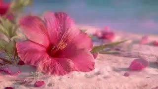 Deserted Island - 𝓅𝑒𝒶𝒸𝑒𝒻𝓊𝓁 playlist