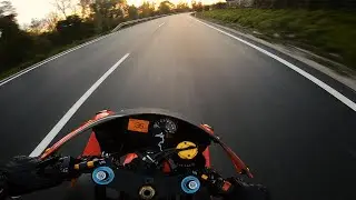 The PURE SOUND of 4 Zylinder ❤ Quickshifter - HONDA CBR954RR FireBlade (4K) #cbr954rr