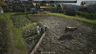 Manor Lords ox stuck