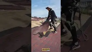 Removing old shingles for replacing a new roof🏡😎 #professionalroofers