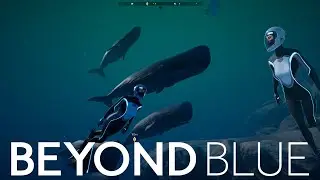 Beyond Blue | An Ocean Exploration