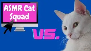 Funny CAT vs. Technology #Shorts