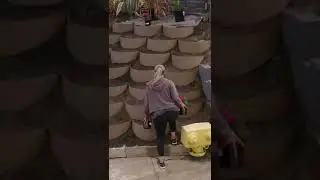 Террасное садоводство для борьбы с погодными условиями и эрозией при ландшафтном дизайне на холме...